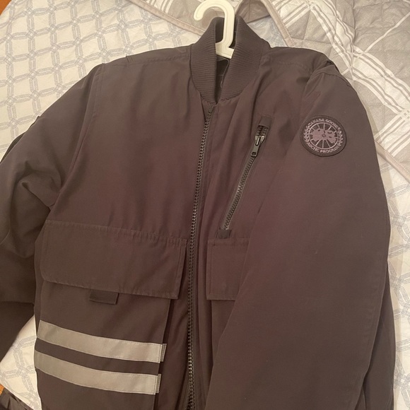 Canada goose - Picture 2 of 6